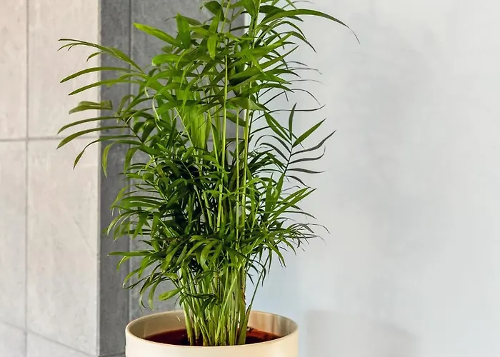 Leete Residence- 5br Elegant Family With Huge Garden&free Parking